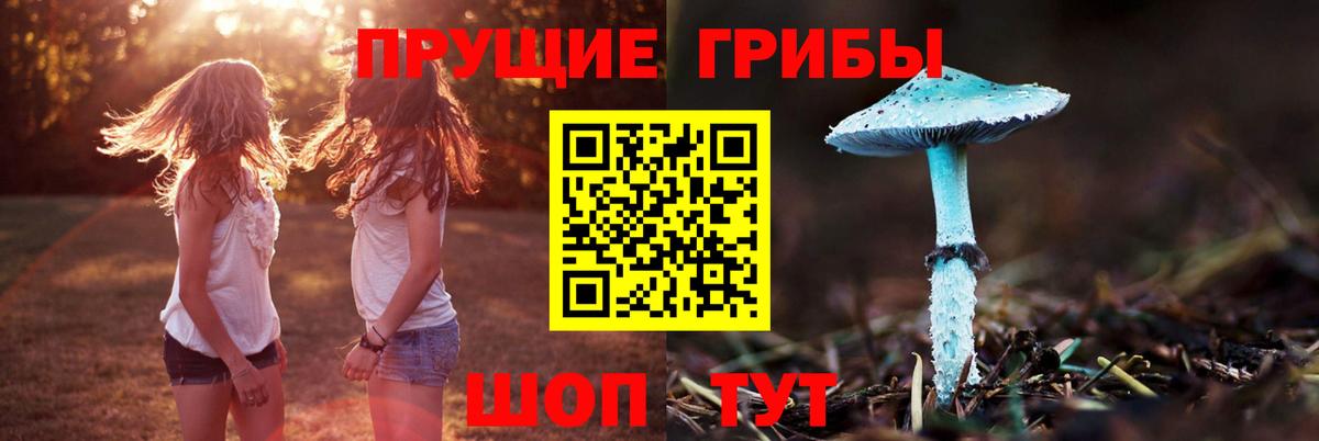 Псилоцибиновые грибы Cubensis Кемерово